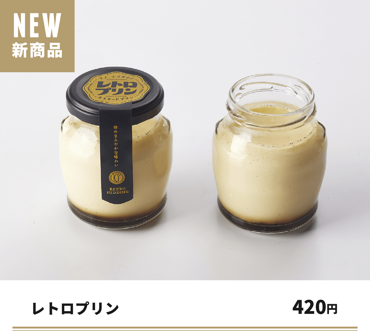 レトロプリン