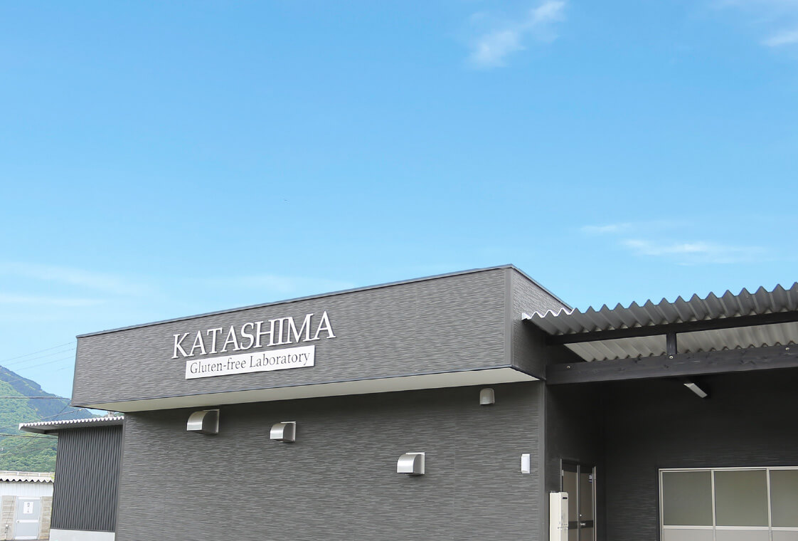 COMPANY INFORMATION OF KATASHIMA