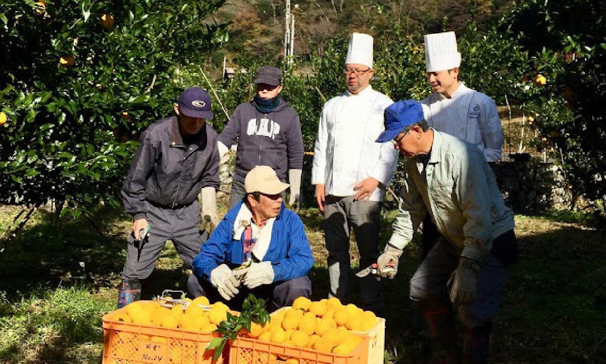 生産現場へ直接訪問